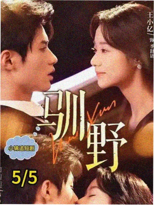巷口有家旧书店 剧集海报